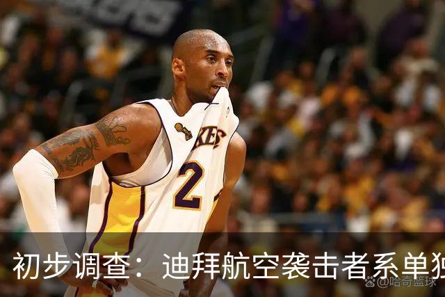 初步调查：迪拜航空袭击者系单独作案；他原计划杀死机长，并驾机“直接撞向”以色列一机场航站楼，被迪拜航空录用前就已策划袭击